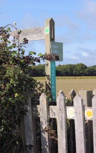 footpath at last, Ruth tries to walk around the coast in the New Forest