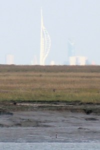 Portsmouth in the distance, from marshes near Lymington. Ruth's coastal walk