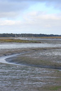 View over mud, Near Lymington, Ruth's coastal walk