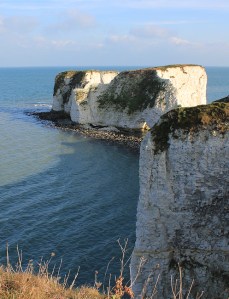 Old Harry rocks, from the top - Purbeck, Ruth's coast walking
