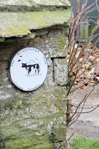 cheese company sign, Ruth's coastal walk, Worth Matravers