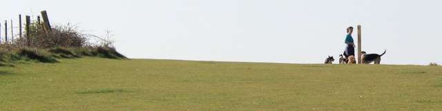 08 dogs, Ruth walks the South West Coast Path, Dorset dogs, Ruth walks the South West Coast Path, Dorset