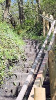 steep path - up from Lyme Regis, Ruths coastal walk