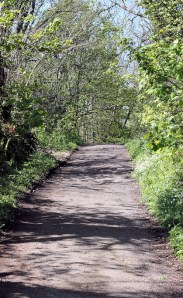 wide path - from Lyme Regis, Ruth walking round the coast