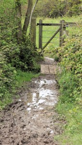 muddy stile - Ruth's coastal walk, trying to get to Lyme Regis