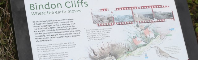 Bindon Cliffs - South West Coast Path, Ruth walking the coast