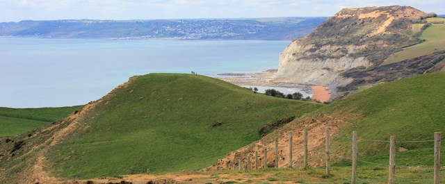 Down from Thorncombe Beacon, Sout West Coast Path, Dorset. Ruth.