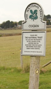 Cogden Beach, Dorset, Ruth's coast walk along Chesil Beach