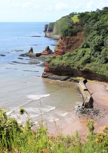 along the coast to Teignmouth, Ruth walking the Devon Coast