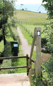 back down to the shore, Ruth on her coast walk