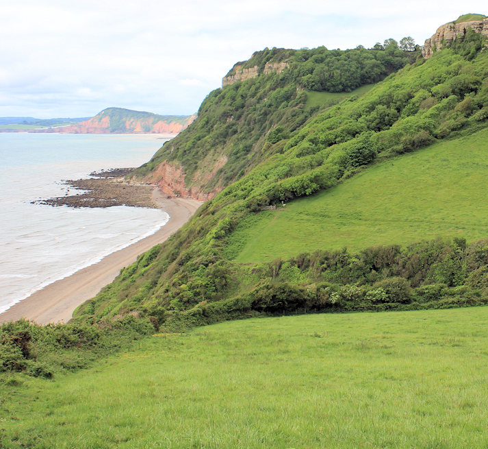 down to Weston Mouth, Ruth walking round the Coast, in Devon.