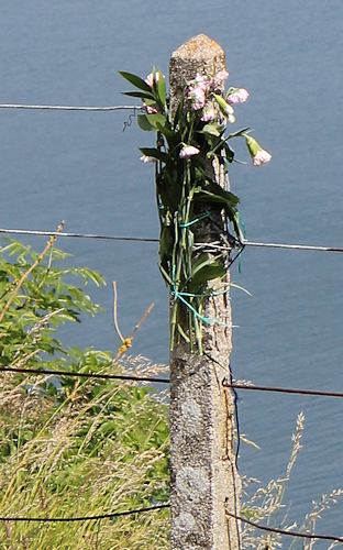 memorial flowers, Walls Hill, Torquay, Ruth's coastal walk, South West Coast Path
