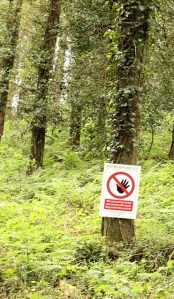 Euroforest sign, woods near Sidmouth, Ruths coast walk