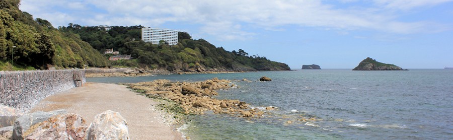 looking back along Meadfoot Beach, Ruths walk around the coast, Devon
