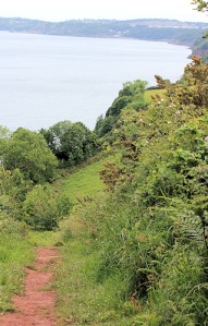 top of cliffs, Babbacombe Bay, Devon, Ruth on the South West Coast path.