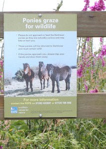 ponies warning sign, Ruth's coastal walk, Devon,