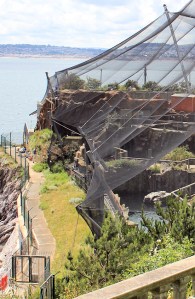 Living Coasts - Ruth's coastal walk around Torbay