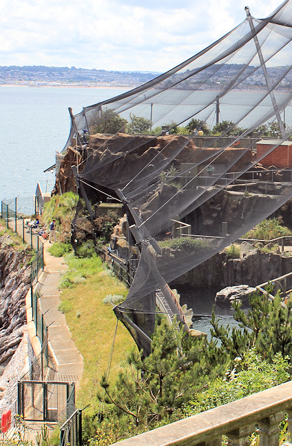 Living Coasts - Ruth's coastal walk around Torbay