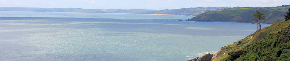 Brixham to Kingswear, Scabbacombe Head - Ruth's coastal walk