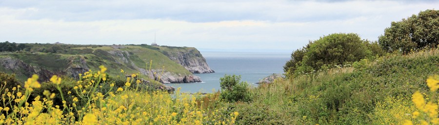 Berry Head, Ruth waking round the coast, Devon