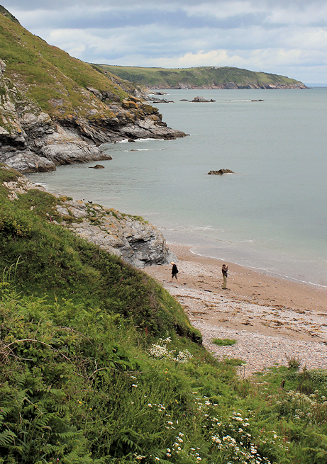 looking back to Sharkham Point, Ruth's coastal walk, Devon