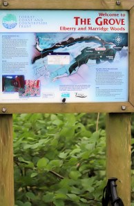 The Grove, South West Coast Path, Ruth walking around Torbay