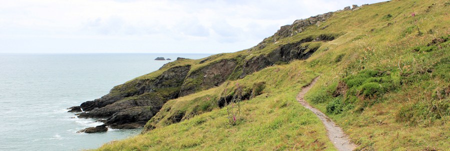 Scabbacombe Head, South West Coast Path, Ruth's coastal walk. Devon
