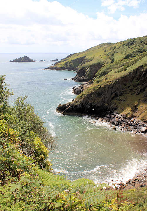 Mew Stone, Ruth walking around Scabbacombe Head, Devon coastal path