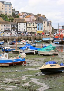Brixham Marina, Ruth's coastal walk, around Tor Bay
