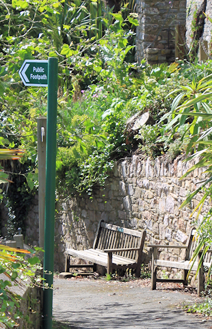 Kingswear, Devon. Ruth's coast walking.