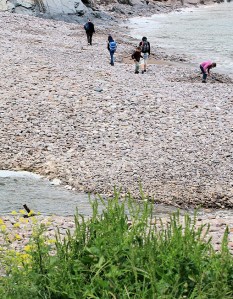stream across Man Sands, Ruth's coast walk, Devon