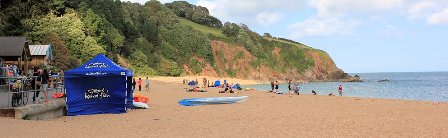 Blackpool Sands, Ruth on her coastal walk, Devon
