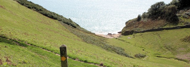 steep slope to sea, Devon - on the South West Coast Path. Ruth's walk.