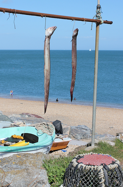 Eels at Beesands - Ruth walking the South West Coast Path