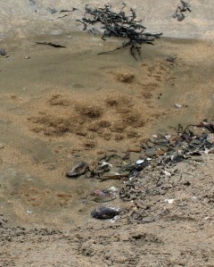 fresh water spring, Hope Cove - Ruth's Coastal Walk, Devon.