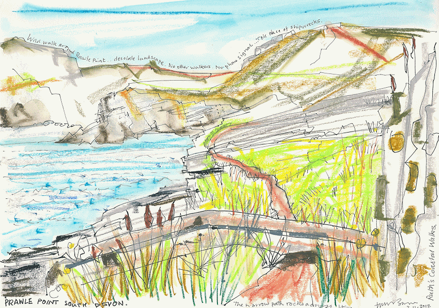 Prawle Point, painting by Tim Baynes