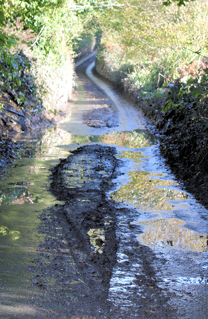 wet road, River Erme, Devon - Ruth walking around the coast.