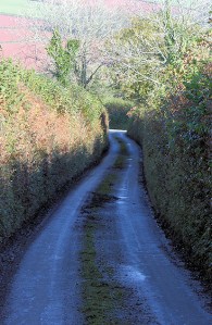  more wet road walking, Devon, Ruth trying to walk the coast.