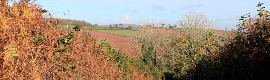 view above the road, Ruth walking up the River Erme, Devon.