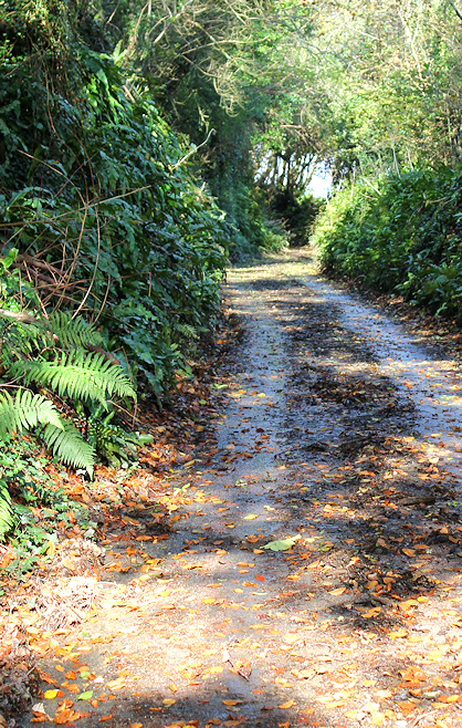 Ruth walking along roads in Devon, following her coastal walk