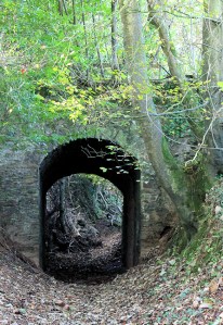 Bridle way under tunnel, Ruth walking around Erme Estuary, Devon