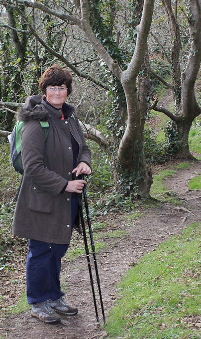 walk through woods, River Erme, Devon