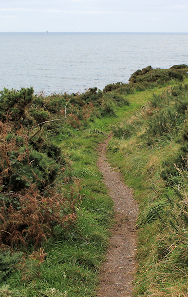 Ruth's walk, Stoke Beach, through bracken