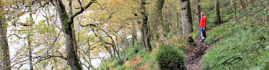 John, walking on Ruth's coastal walk, Passage Woods, Noss Mayo