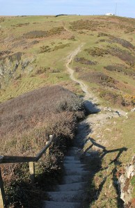 looking down along path from Rame Head, Ruth's coastal walk.