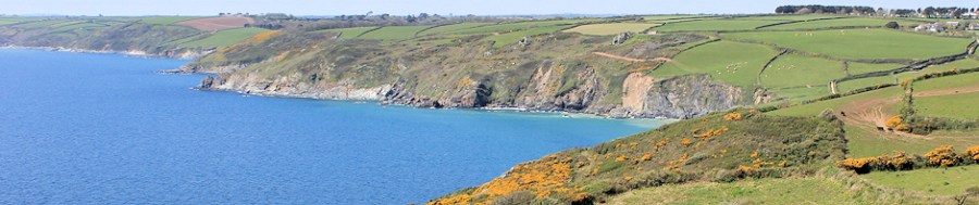 coastal walk, Ruth Livingstone