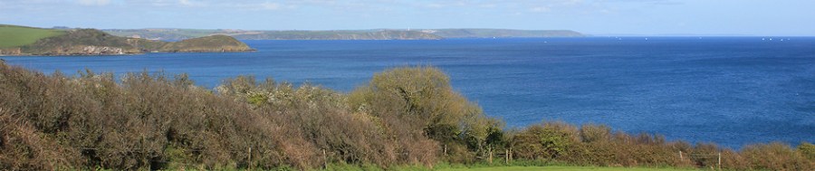 view to Gribbin Head, Ruth's walk around the UK coast