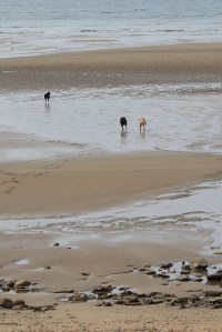 Porthluney Beach, Ruth walking the coast.