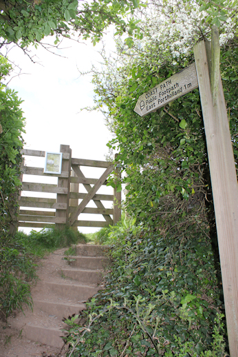footpath from Caerhays, Ruth on the SW Coast Path