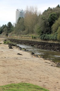 river at Par Sands, Ruth's coast walking
